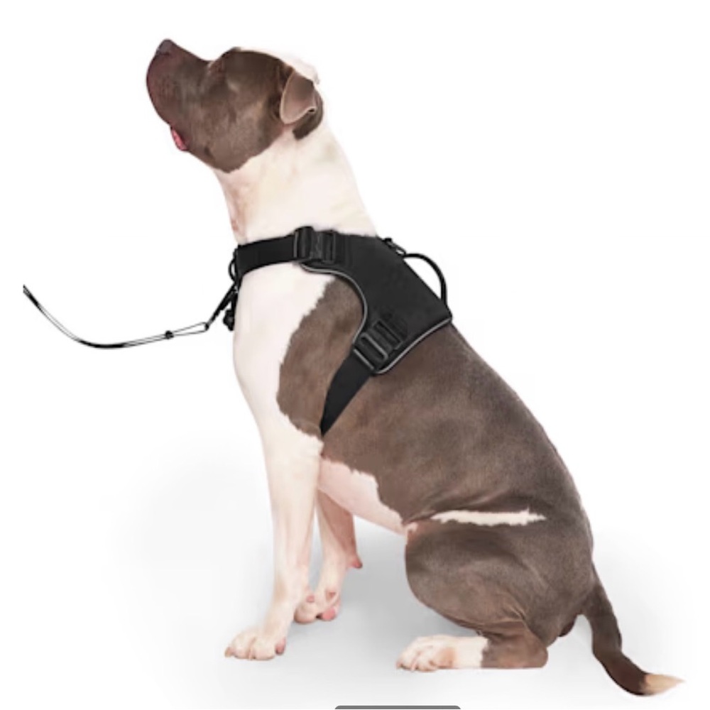 Canada Pooch Complete Control No Pull Dpg Harness M